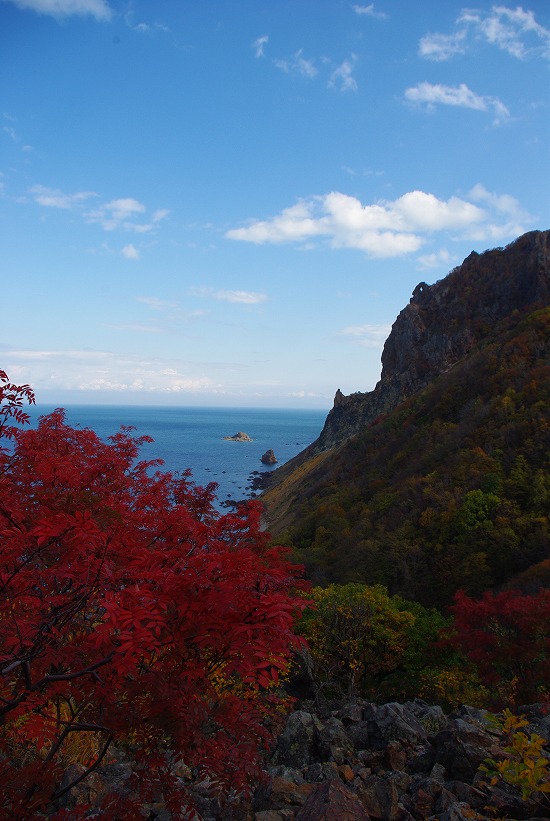 真っ赤な紅葉.jpg
