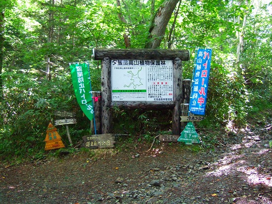 冷水と馬の背コースの分岐.jpg