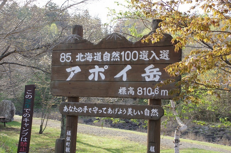apoi01.jpg