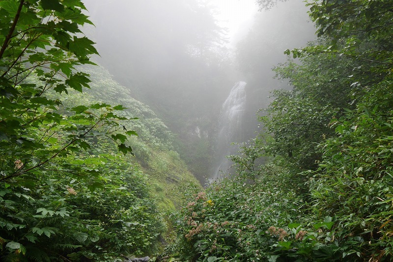 hirayama01.jpg