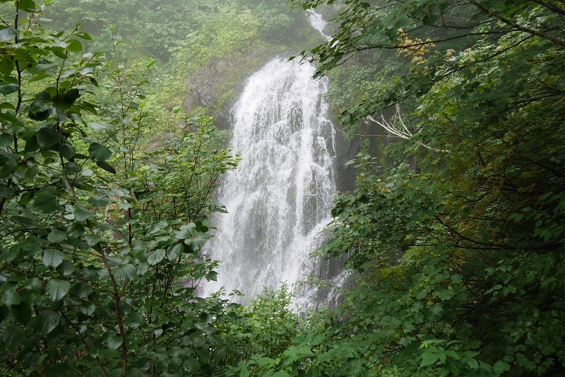 hirayama02.jpg