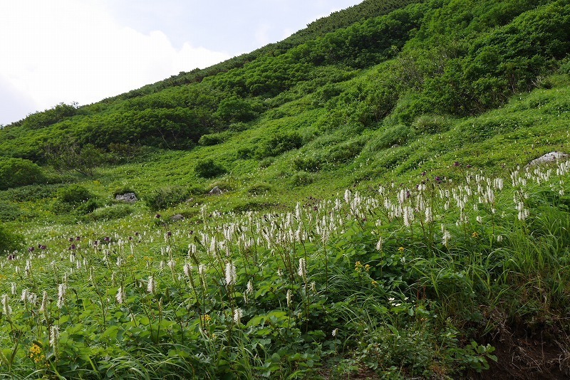 kumoirindoh11.jpg