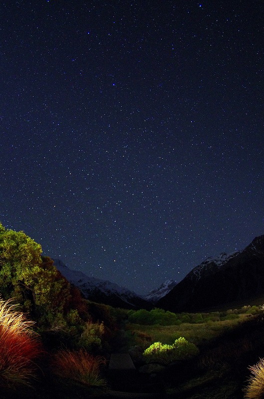 mtcook06.jpg