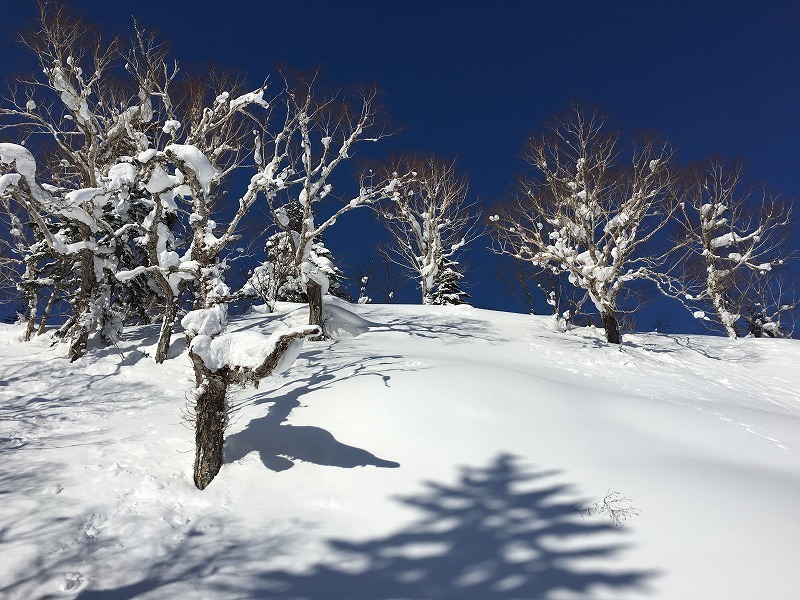 s-2016-02-28_003449253_99E1A_iOS.jpg