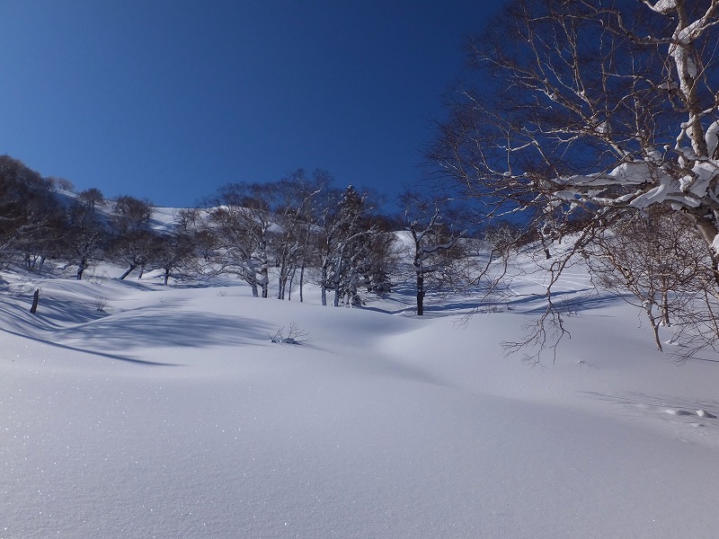 s-2016-02-28_014550000_C78DA_iOS.jpg
