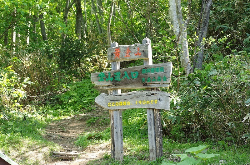 s-IMGP7918.jpg