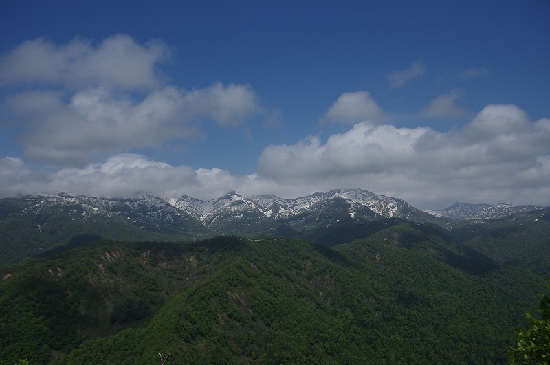 s-IMGP8002.jpg