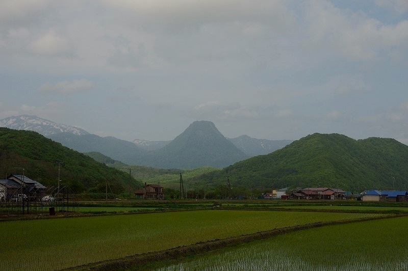 s-IMGP8029.jpg
