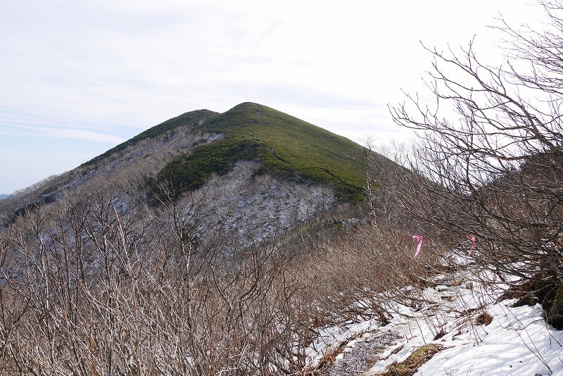 s-P1150019.jpg