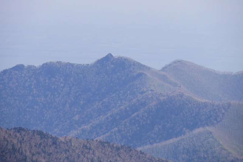 s-P1150039.jpg