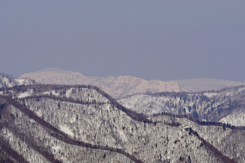 s-P1190383.jpg
