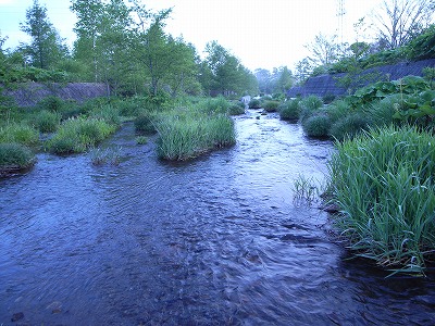 s-R0011185.jpg