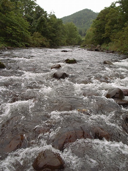 s-R0012434.jpg