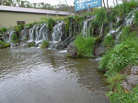 s-R0013824.jpg