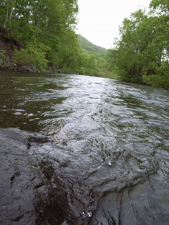 s-R0014034.jpg