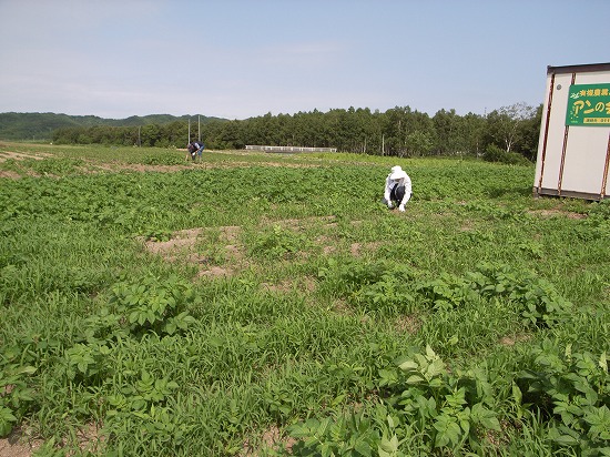 s-R0014714.jpg