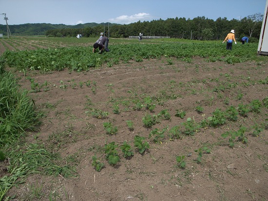 s-R0014719.jpg