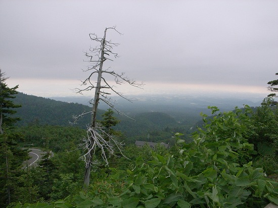 s-R0014980.jpg