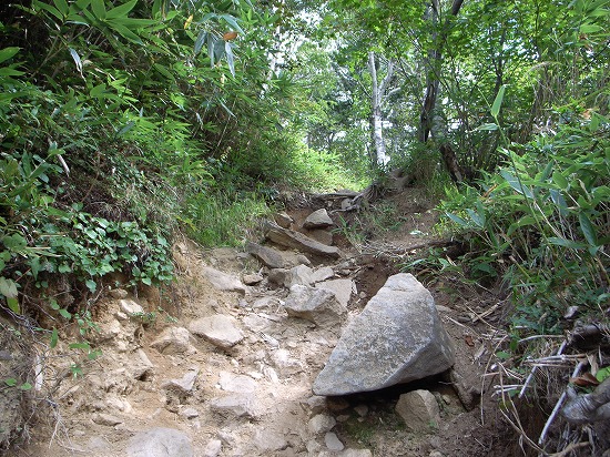 s-R0015910.jpg
