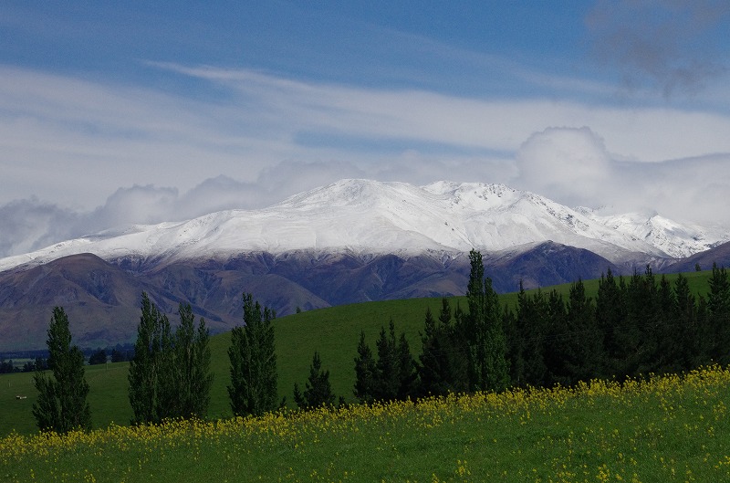 tekapo23.jpg