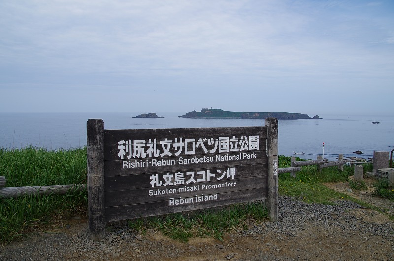 02.jpg