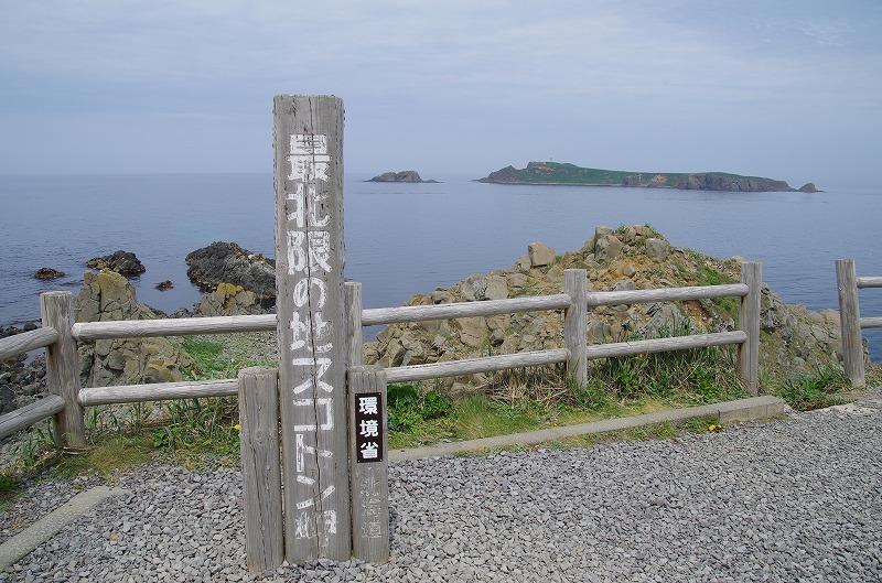 06.jpg