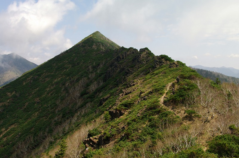 16吉田岳への稜線.jpg