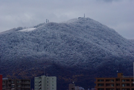 もこもこ藻岩山.jpg