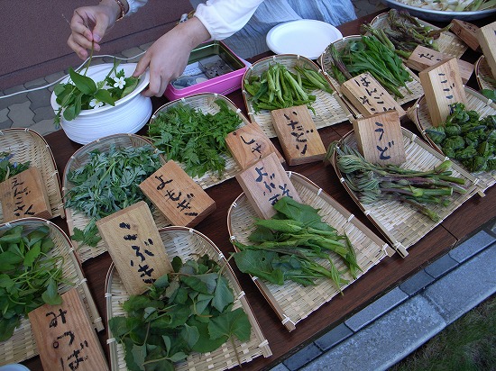 山菜市1.jpg
