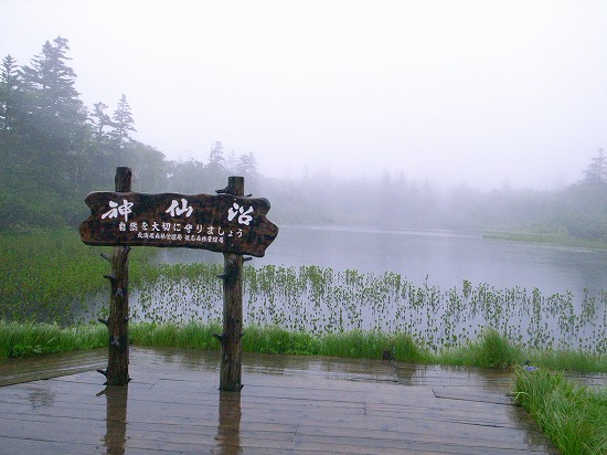 神仙沼.jpg