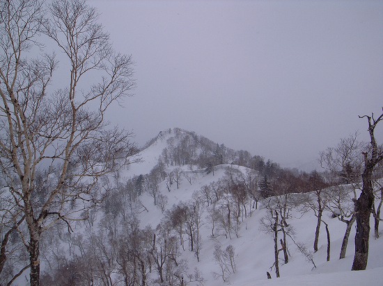 南峰.jpg