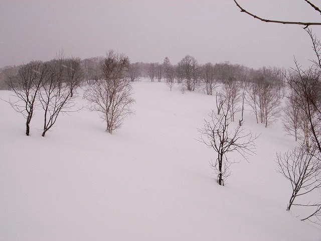オープンバーン.jpg