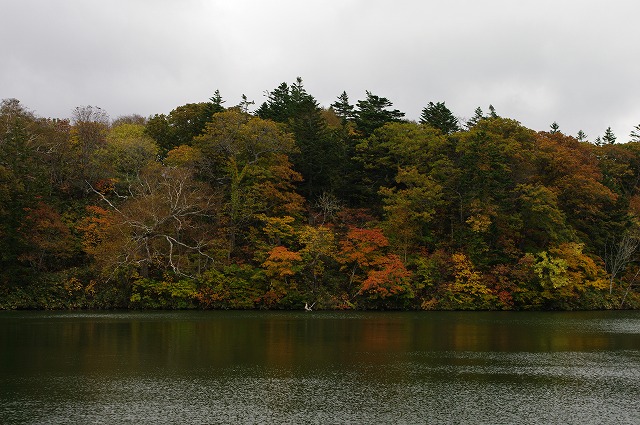 湖畔2.jpg