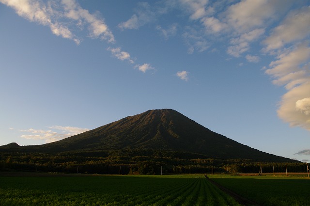 焼けた羊蹄山.jpg