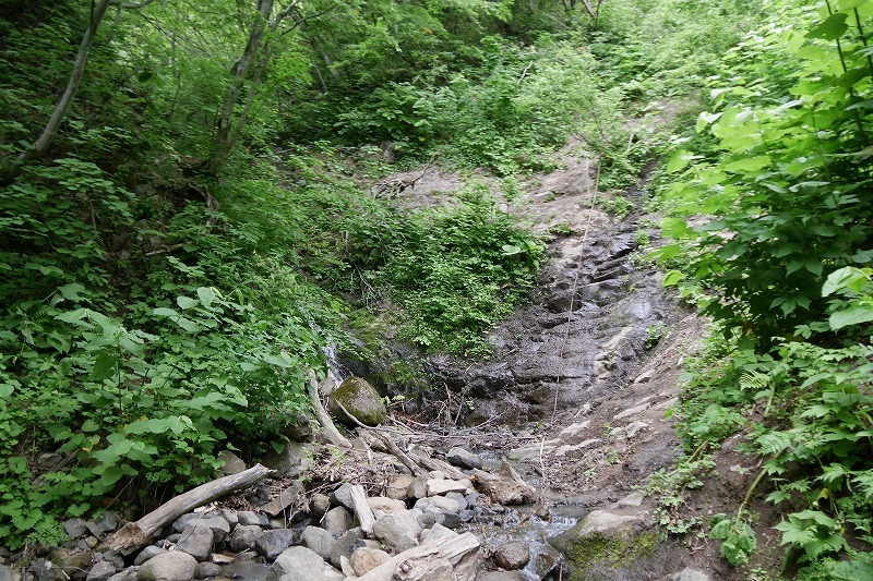 jyouten09.jpg