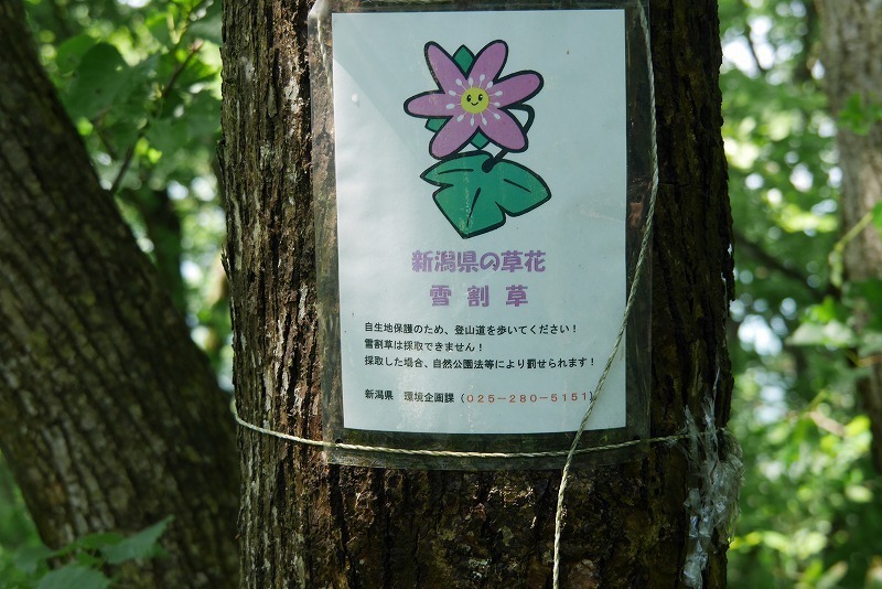 kakuda10.jpg