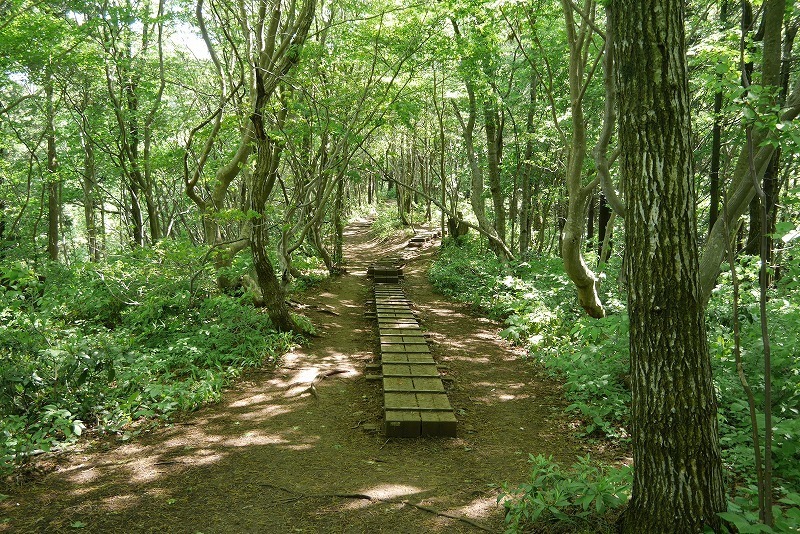 kakuda11.jpg