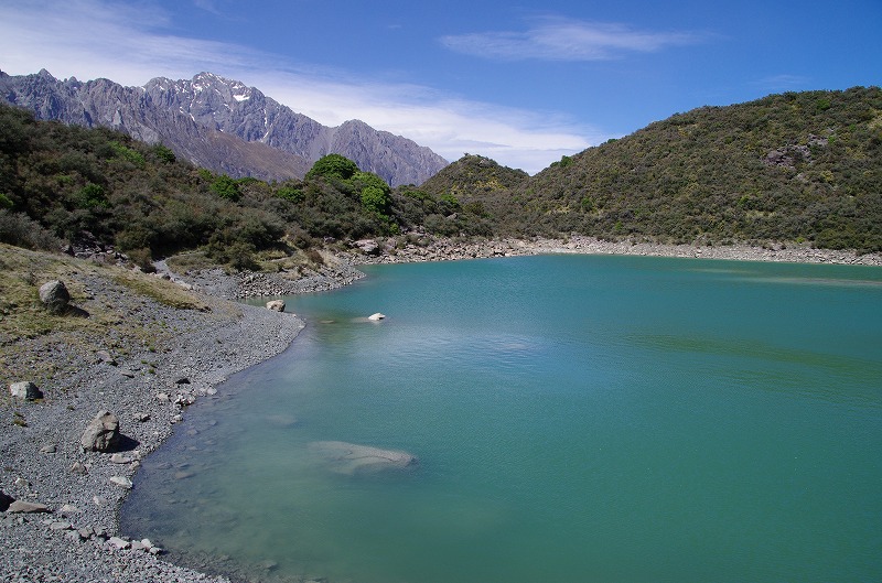 redtarn19.jpg