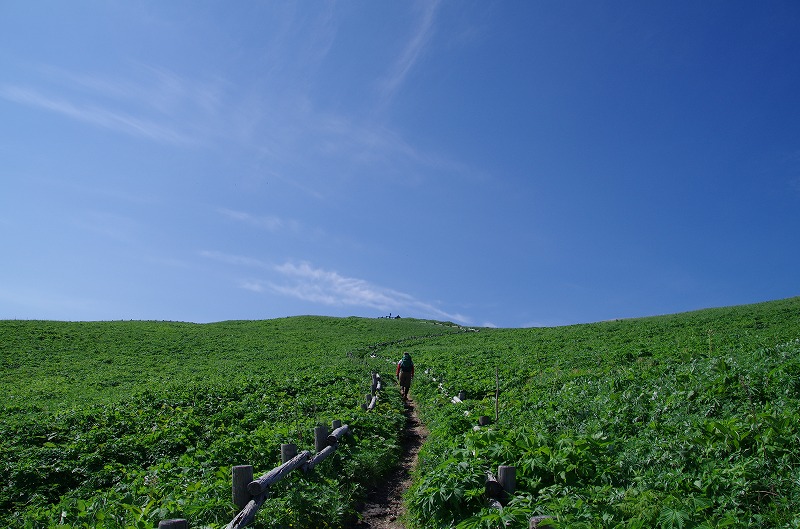 s-007.jpg
