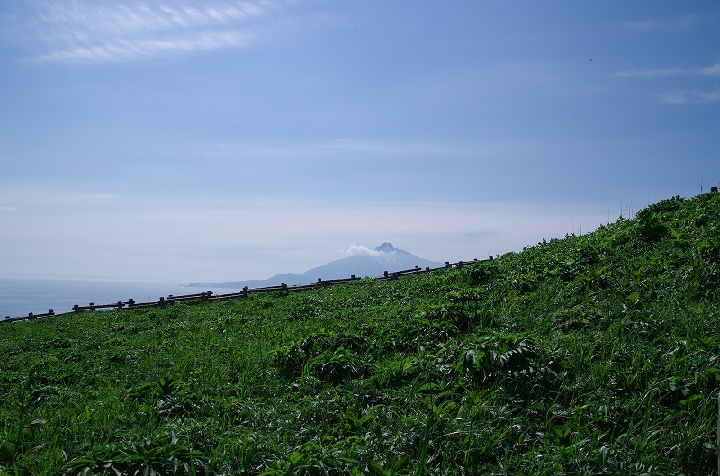 s-008.jpg