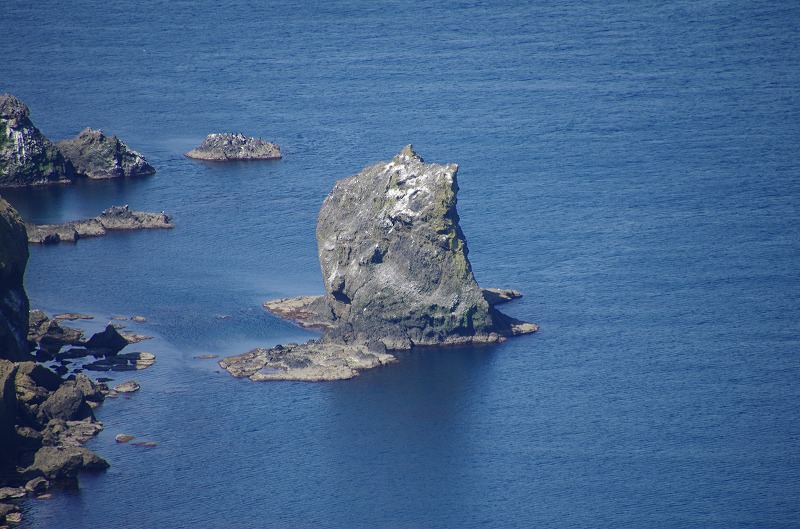 s-009.jpg