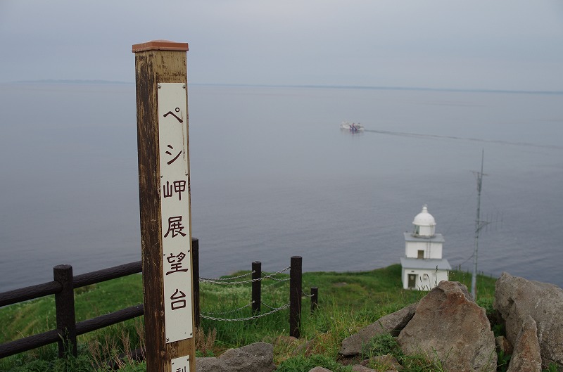 s-HMGP7288.jpg