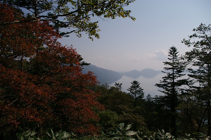 s-IMGP5582.jpg