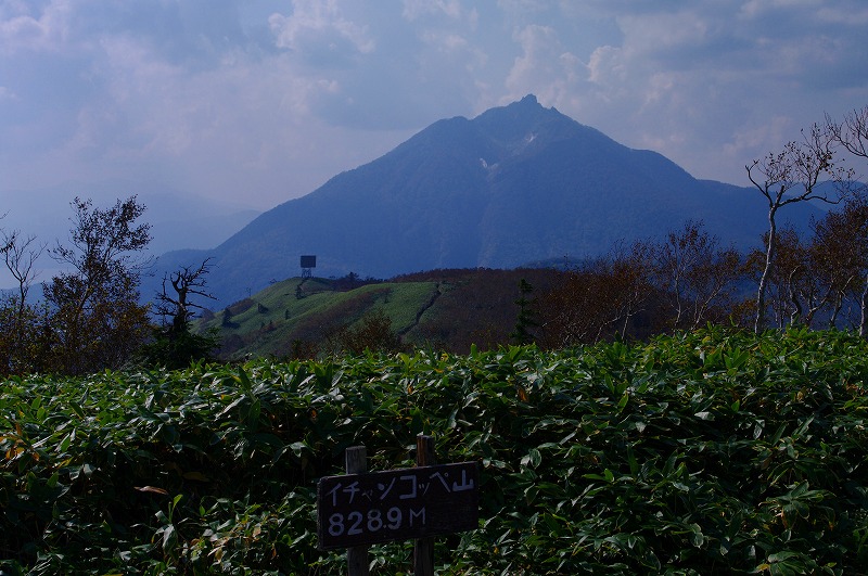 s-IMGP5591.jpg