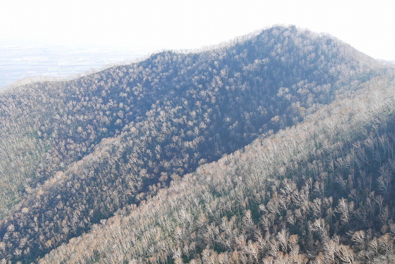 s-P1140984.jpg