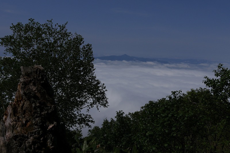 s-P1320498.jpg