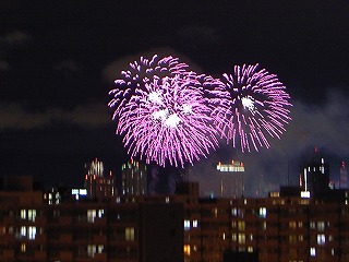 s-R0011678.jpg