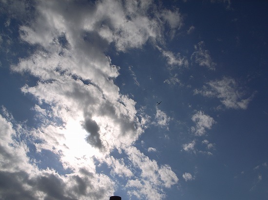 s-R0012679.jpg