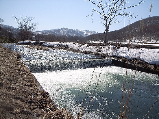 s-R0013658.jpg
