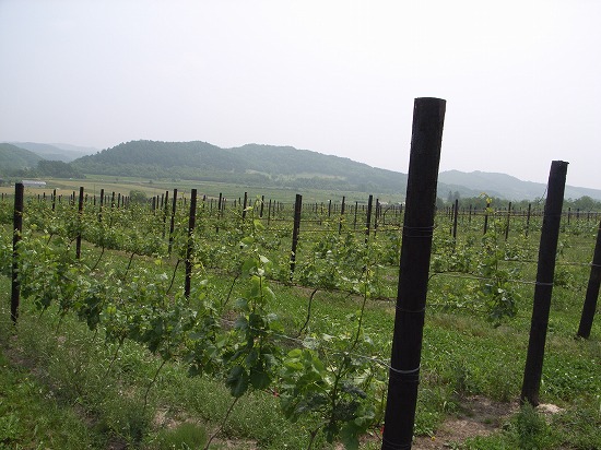 s-R0014853.jpg